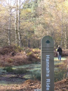 Hannahs Ride. Epping Forest Woodland Burial Park.